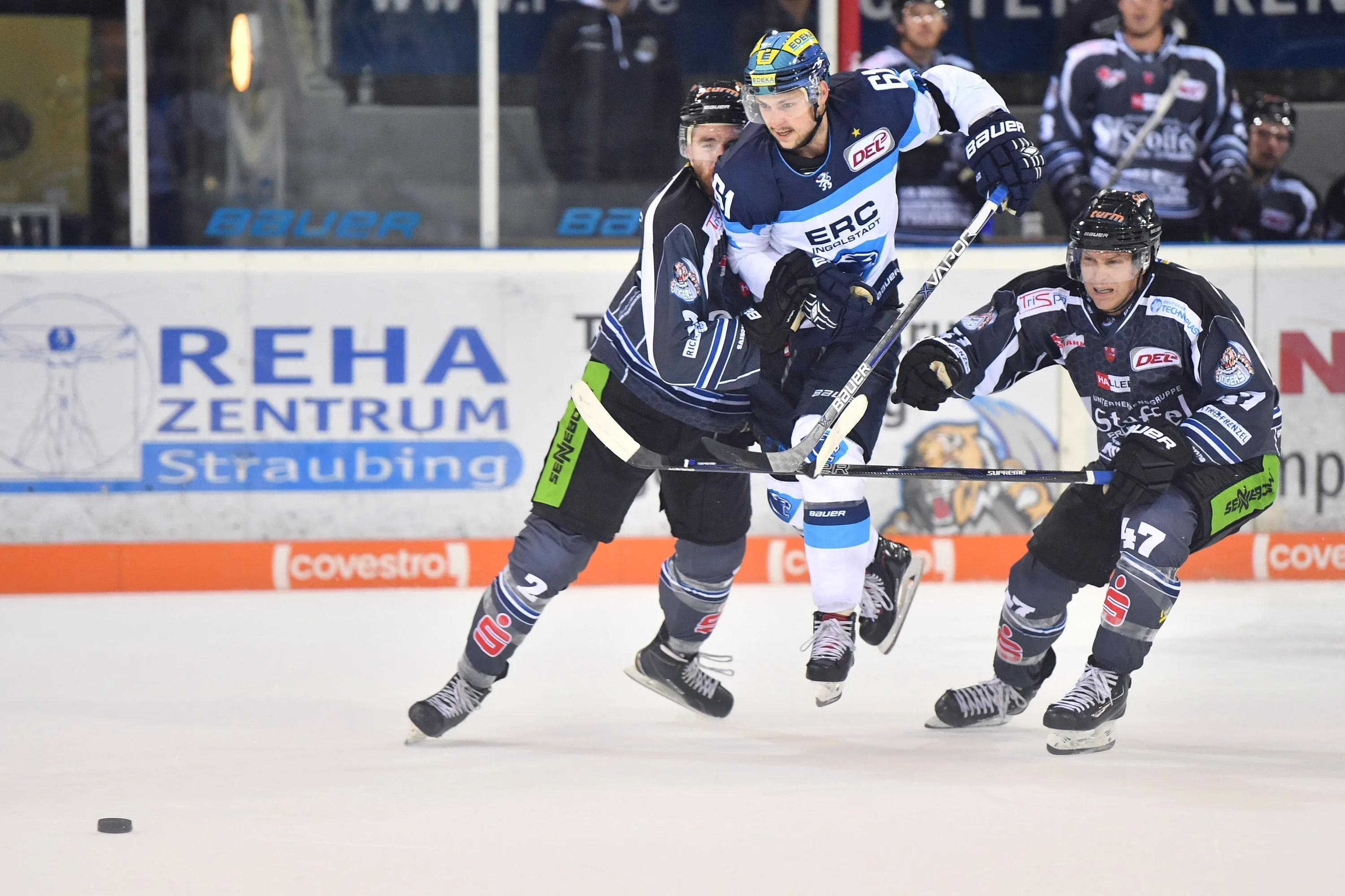 David Elsner und sein ERC empfangen zum Auftakt die Straubing Tigers. Foto: st-foto.de / Johannes Traub