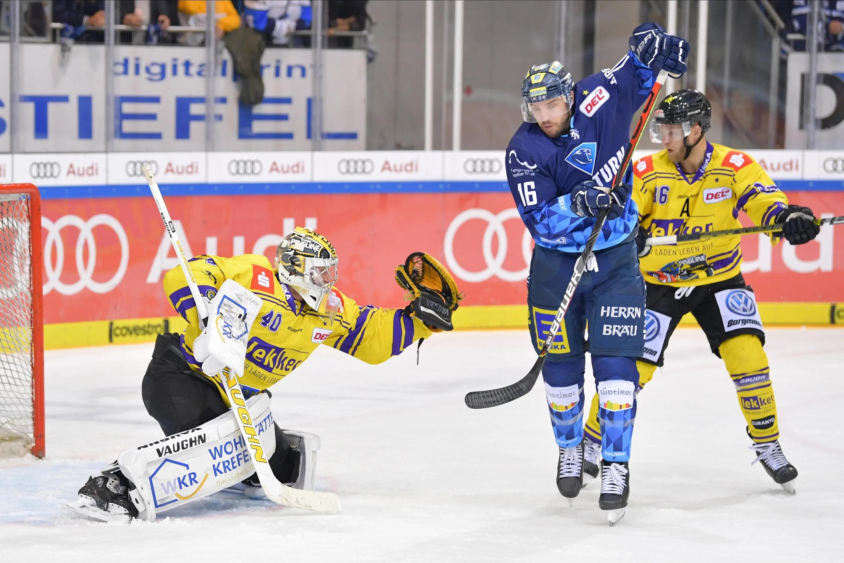 Brett Olson und die Panther wollen zuhause gegen die Krefeld Pinguine ihre Siegesserie weiter ausbauen.
Foto: Johannes TRAUB / JT-Presse.de