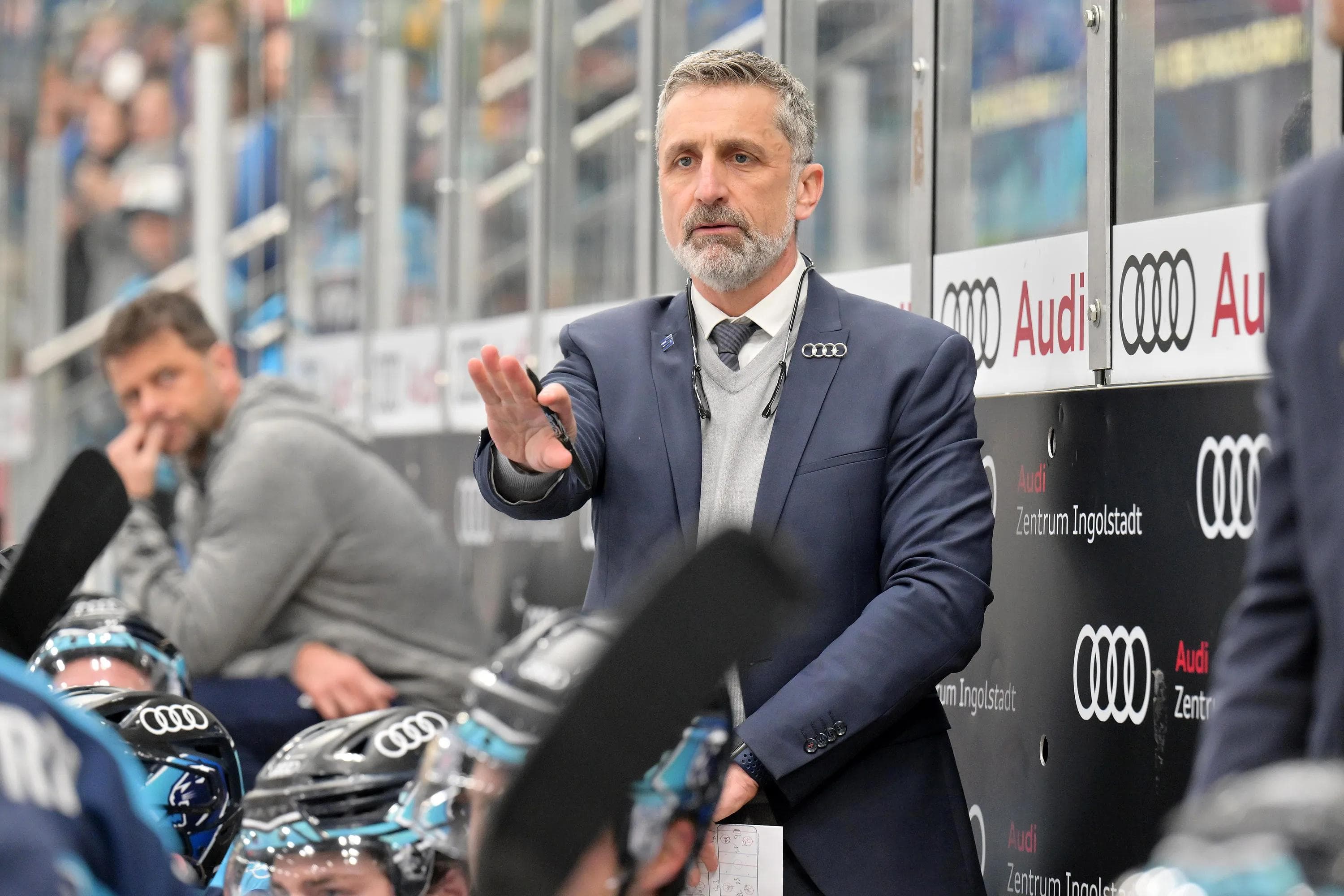Die Panther von Headcoach Mark French bestreiten heute Abend das drittletzte Heimspiel der Hauptrunde.
Foto: Johannes Traub/JT-Presse.de
