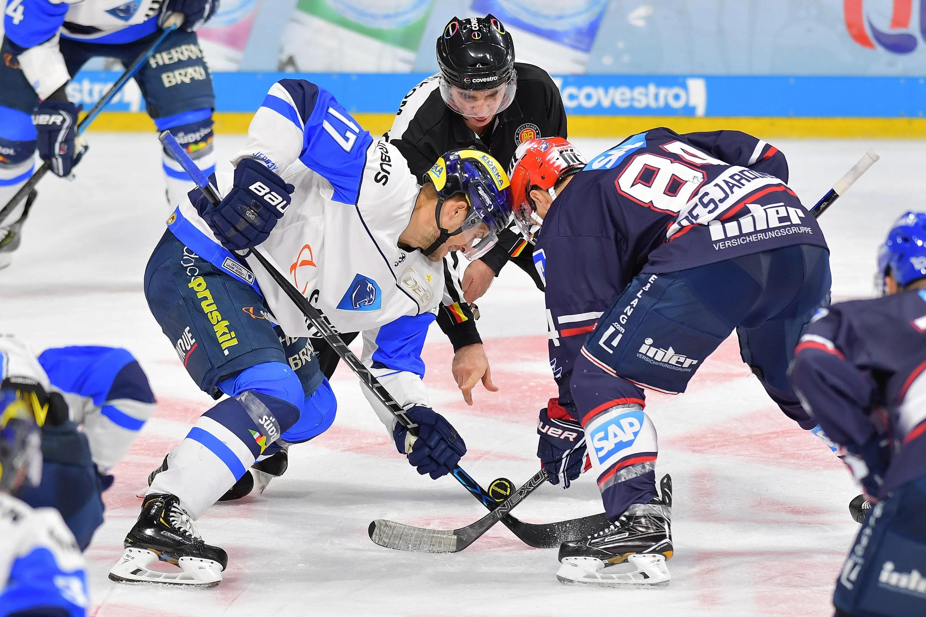 Mit dem Heimspiel am Freitag gegen Spitzenreiter Adler Mannheim beginnt der Endspurt des ERC Ingolstadt.
Foto: Johannes TRAUB / ST-Foto.de