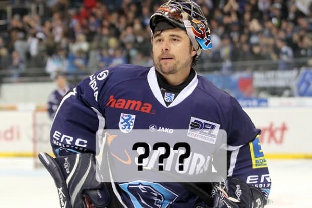 Wie soll das dritte Trikot in der Saison 2011/2012 aussehen?