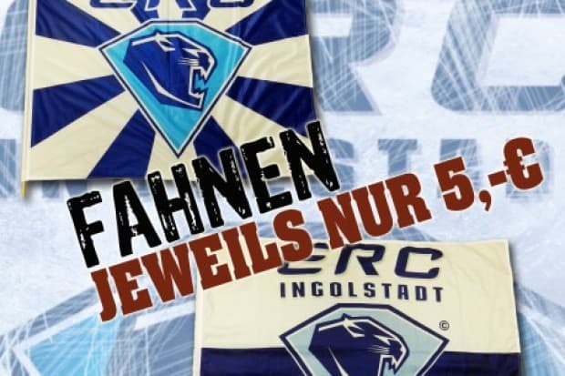 Zeigt Flagge und unterstützt unsere Jungs gegen die Frackträger!