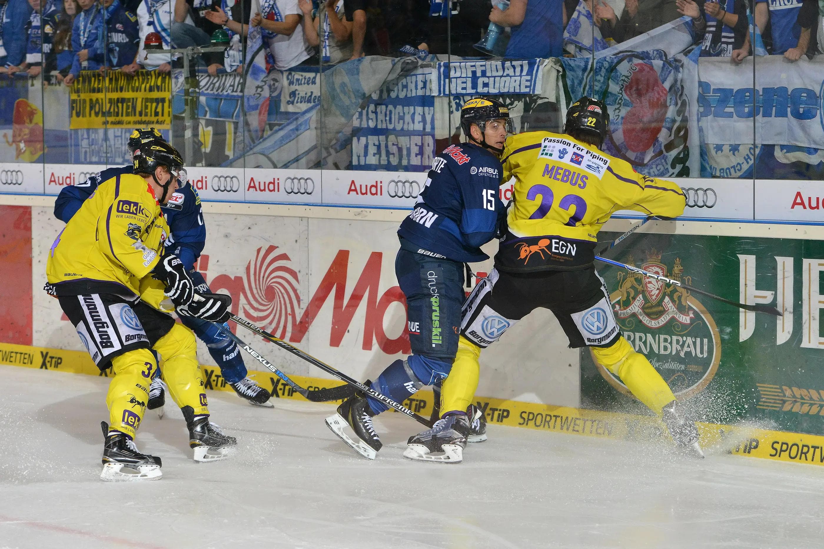 Im Hinspiel behielten die Panther die Oberhand, im Rückspiel nutzte Krefeld den Heimvorteil. Foto (Archiv): st-foto.de / Strisch-Traub