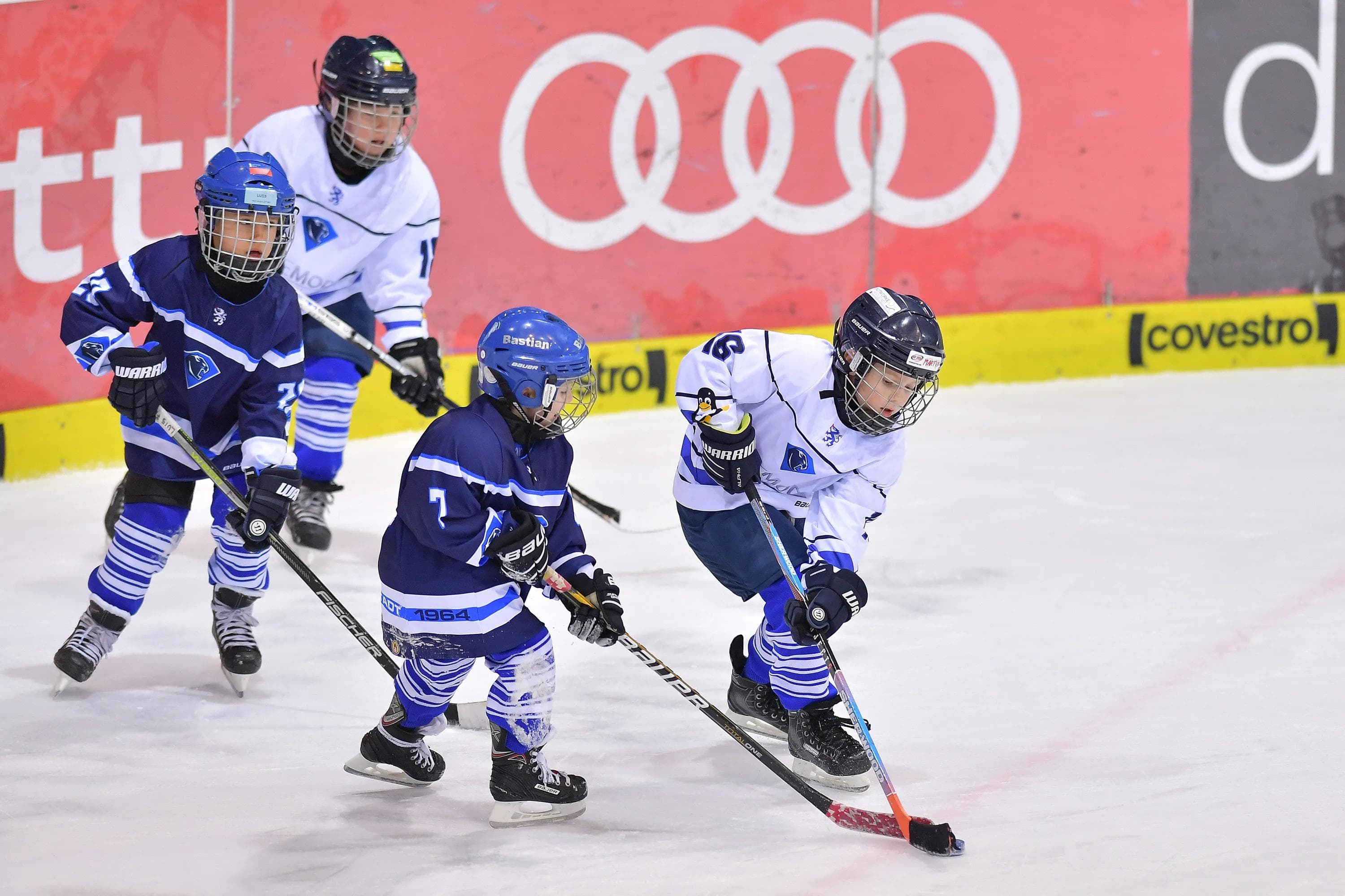 Von den Kleinsten bis zur U20 DNL-Mannschaft sollen alle Kinder und Jugendlichen bestmöglich ausgebildet werden.
Foto: Johannes TRAUB/JT-Presse.de