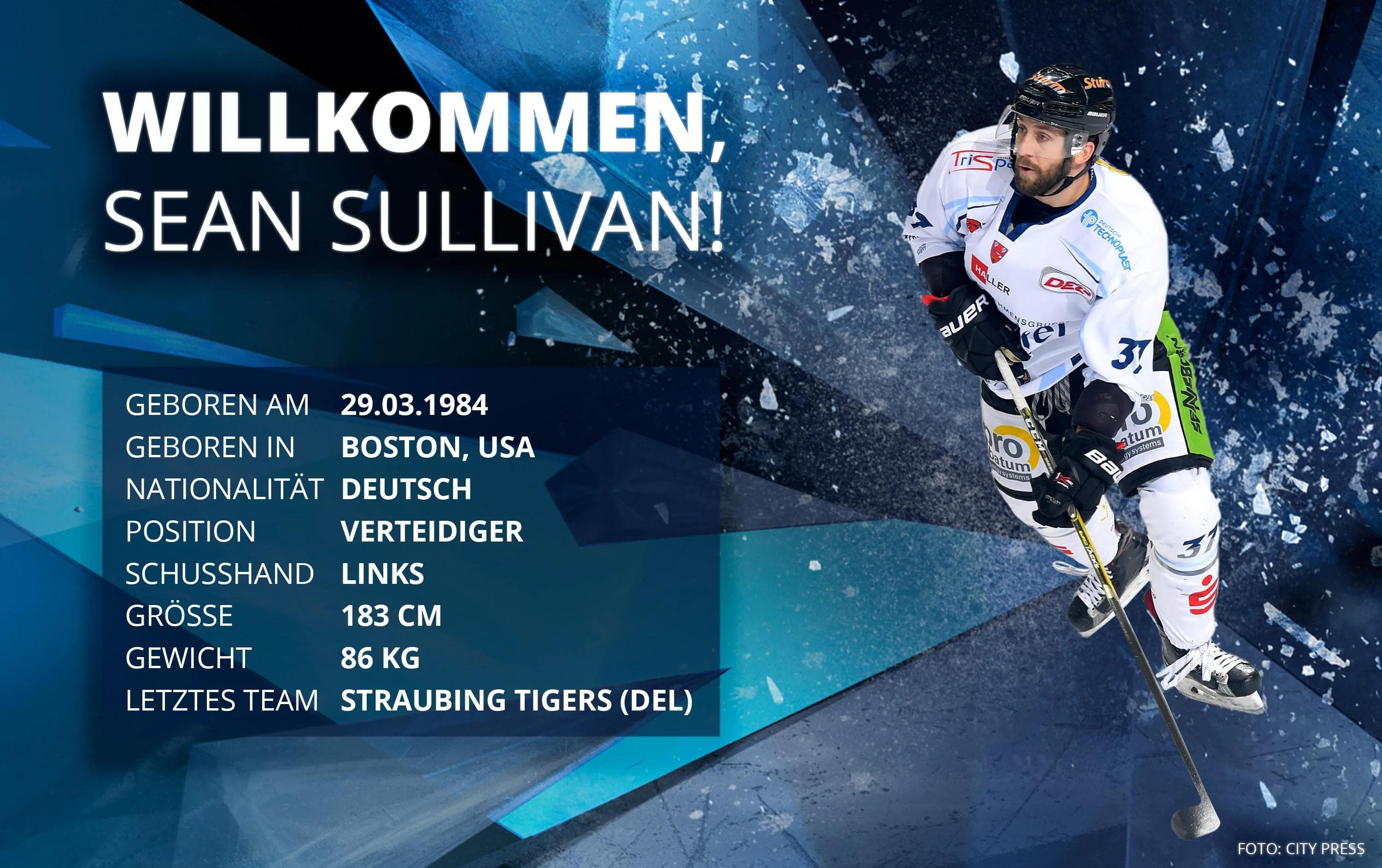 Die Panther haben sich mit Sean Sullivan verstärkt. [Grafik mit Foto: City Press]