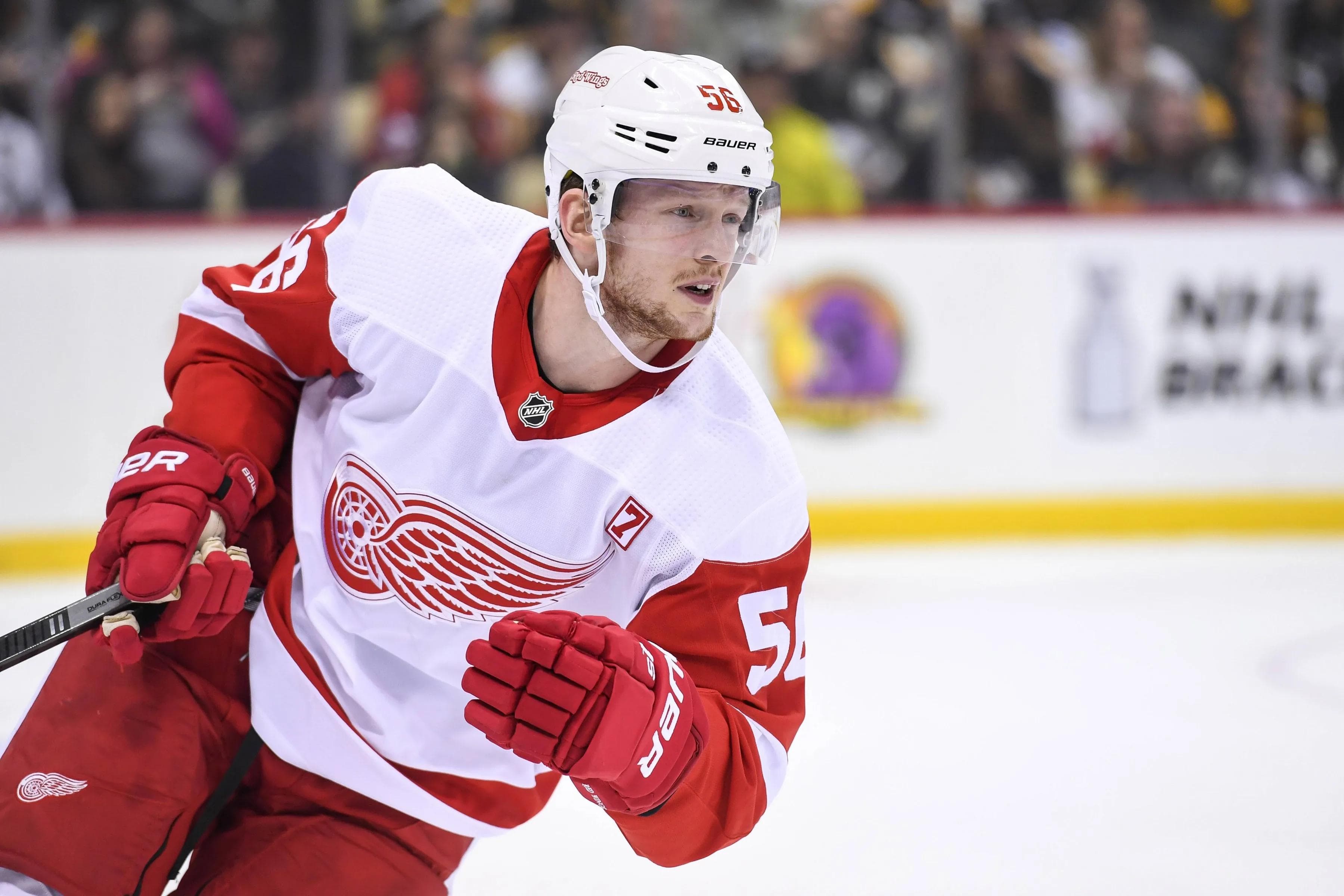 Ryan Kuffner kommt mit der Erfahrung von zehn Einsätzen für die Detroit Red Wings in der NHL zum ERC.
Foto: Imago Images/Jeanine Leech