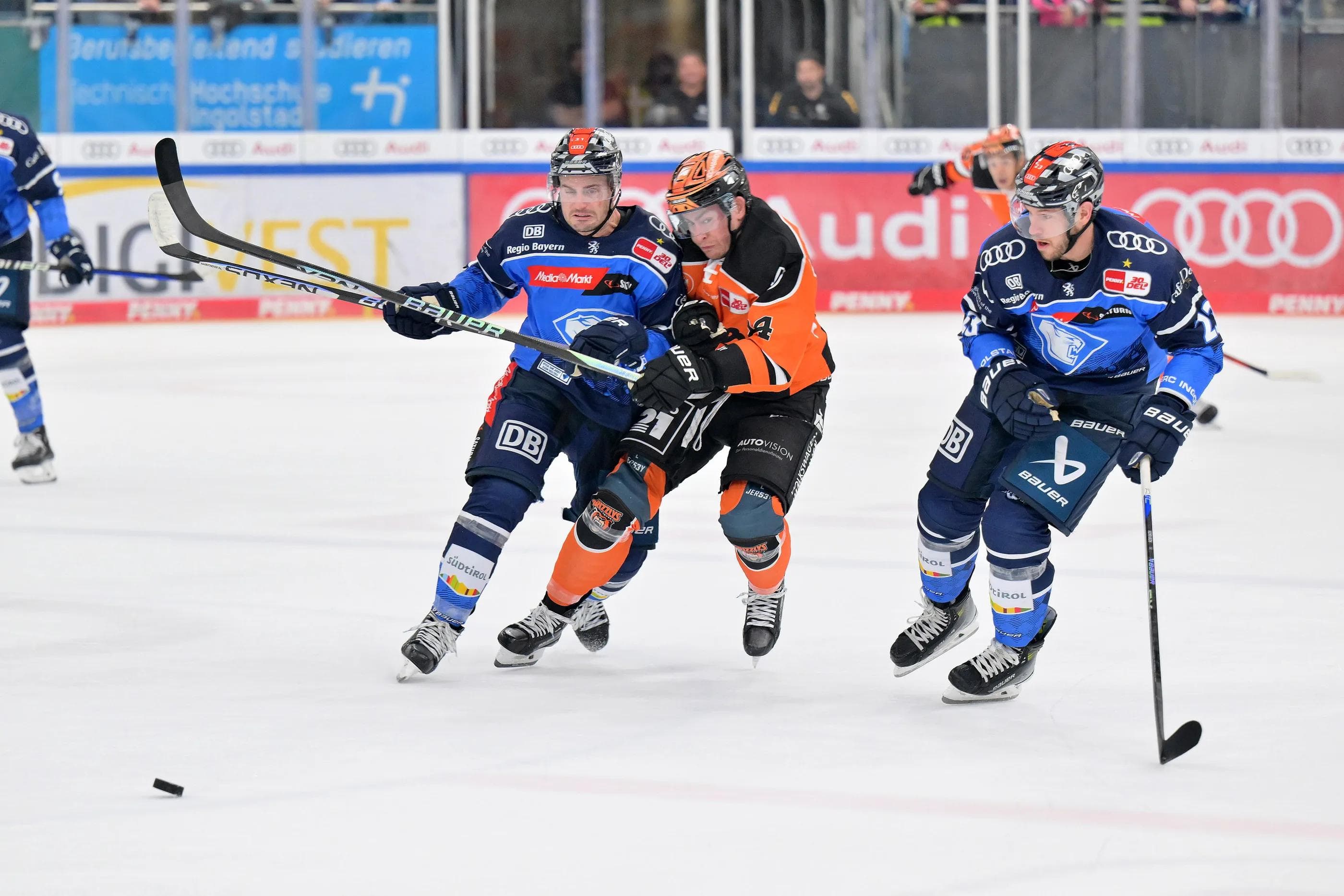 Feiertags-Heimspiel gegen Grizzlys
