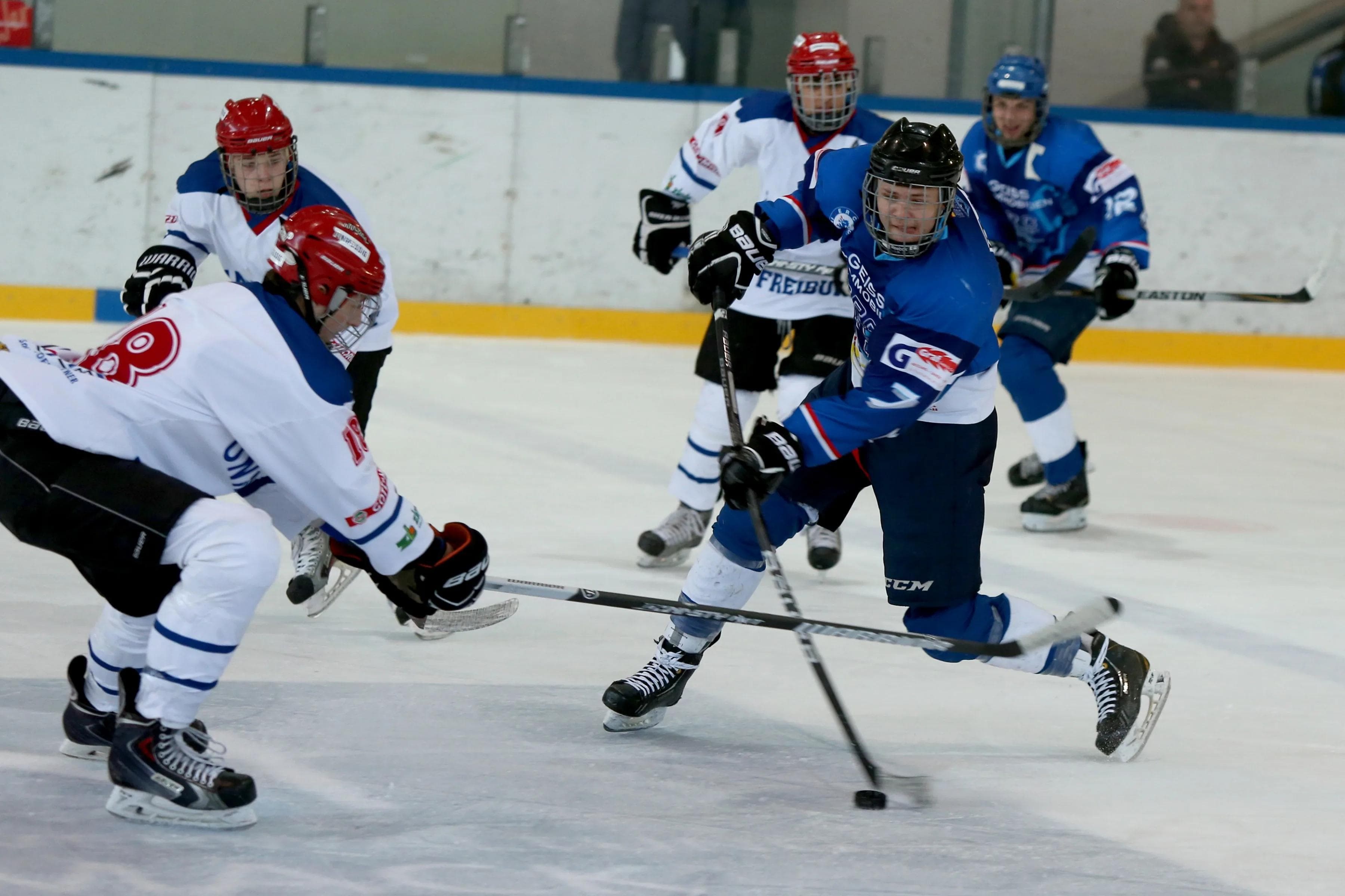 Die Jungpanther um Thomas Voronov (blaues Trikot, Vordergrund) und Markus Mühlbauer (im Hintergrund) sind aufgestiegen. Foto: Jürgen Meyer