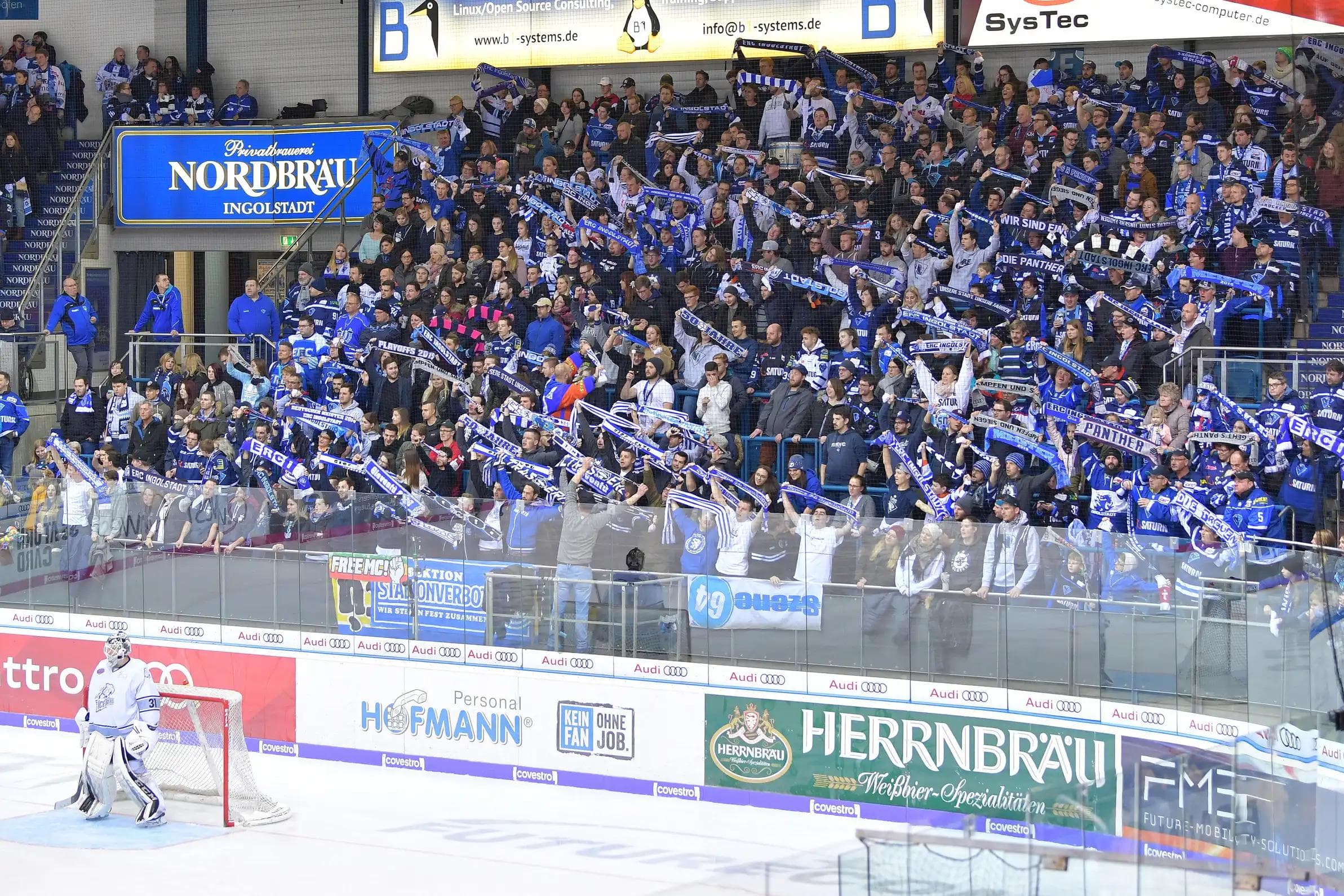 Pflichttermin für alle Sportfans in der Region Ingolstadt: Heute, 16.30 Uhr, Saturn-Arena.
Foto: Johannes TRAUB / ST-Foto.de