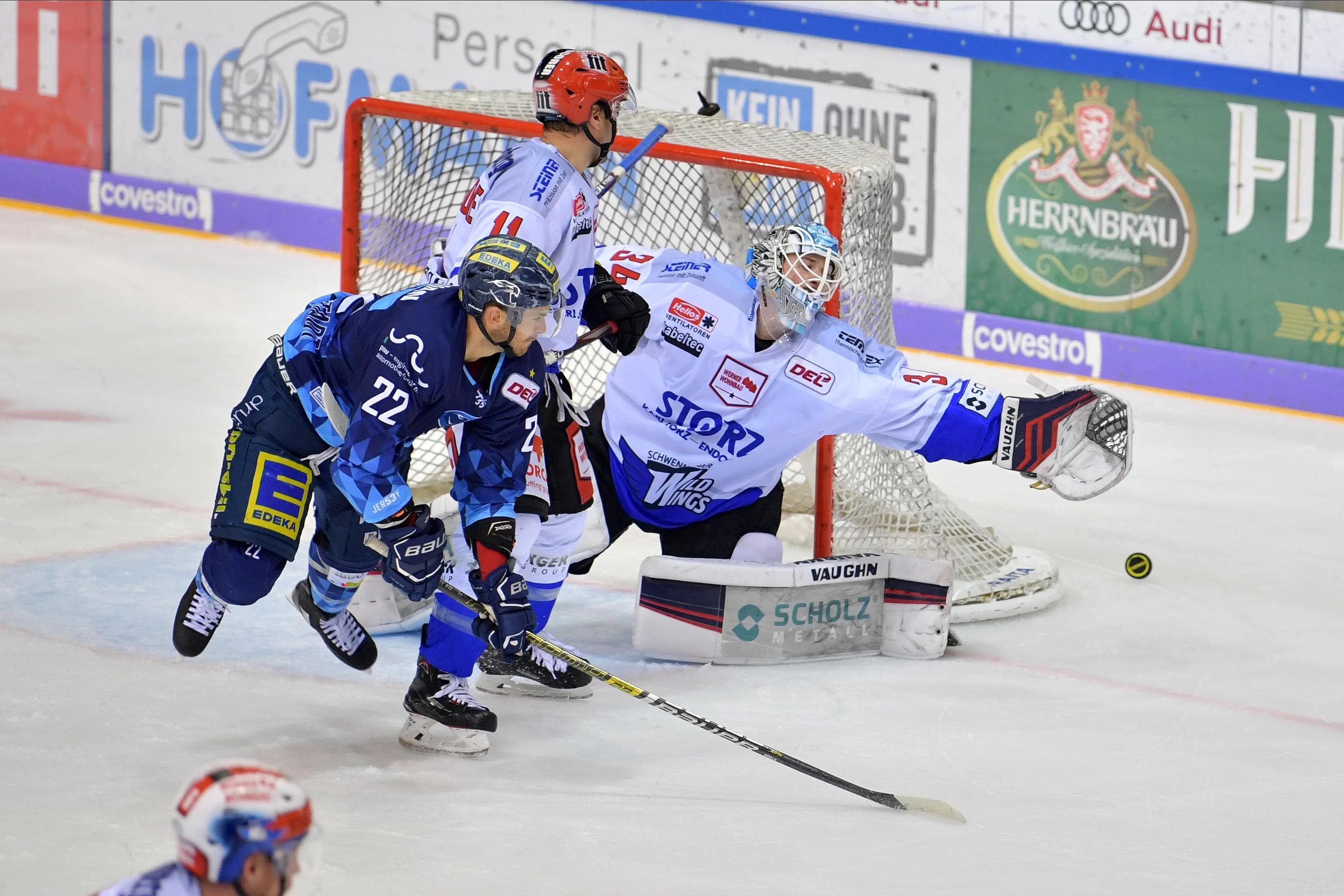 Die Panther um Matt Bailey wollen die Wild Wings auch morgen stark unter Druck setzen und ihr Spiel durchdrücken.
Foto: Johannes TRAUB / JT-Presse.de