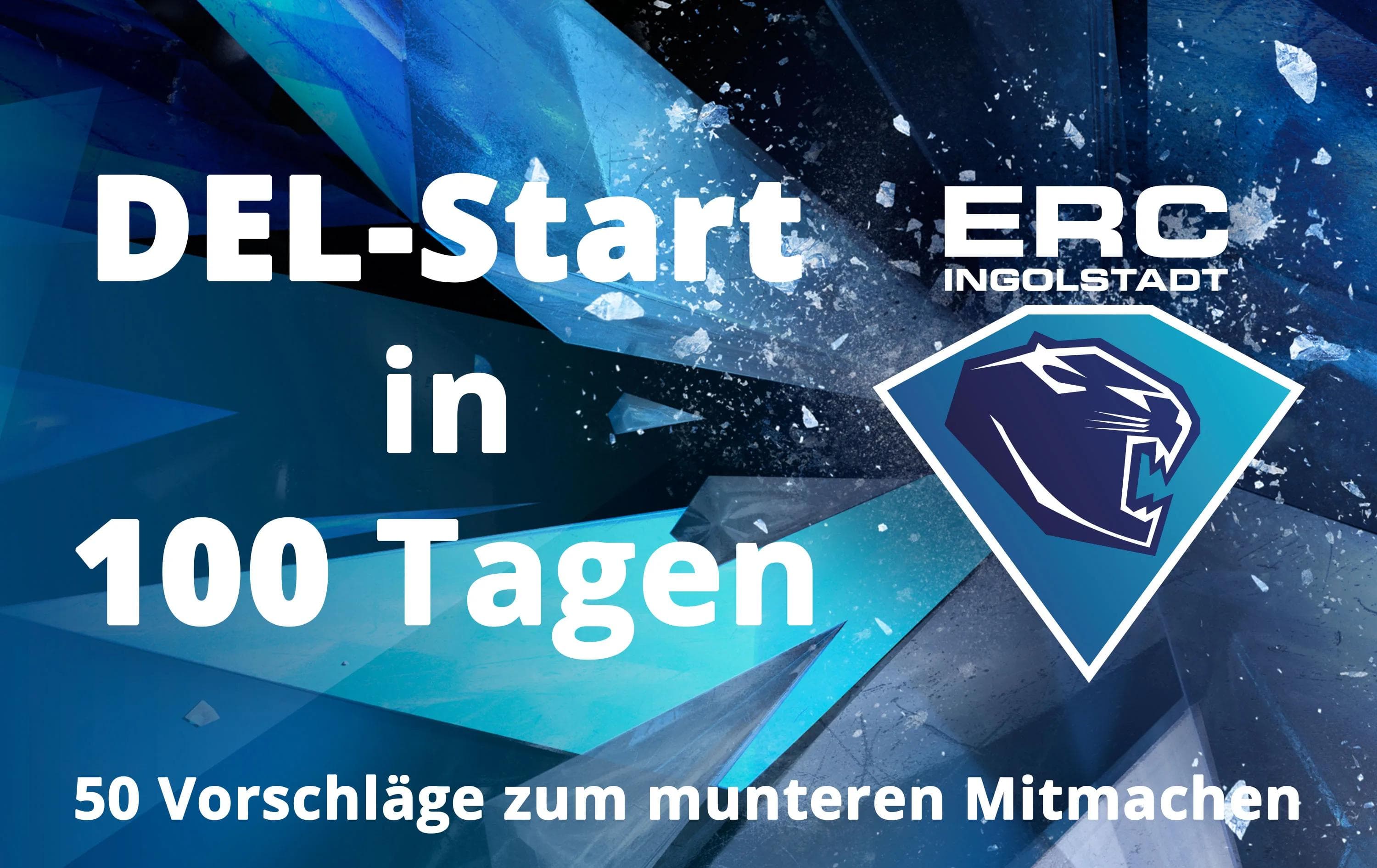 In 100 Tagen beginnt die DEL-Saison 2016/17.
