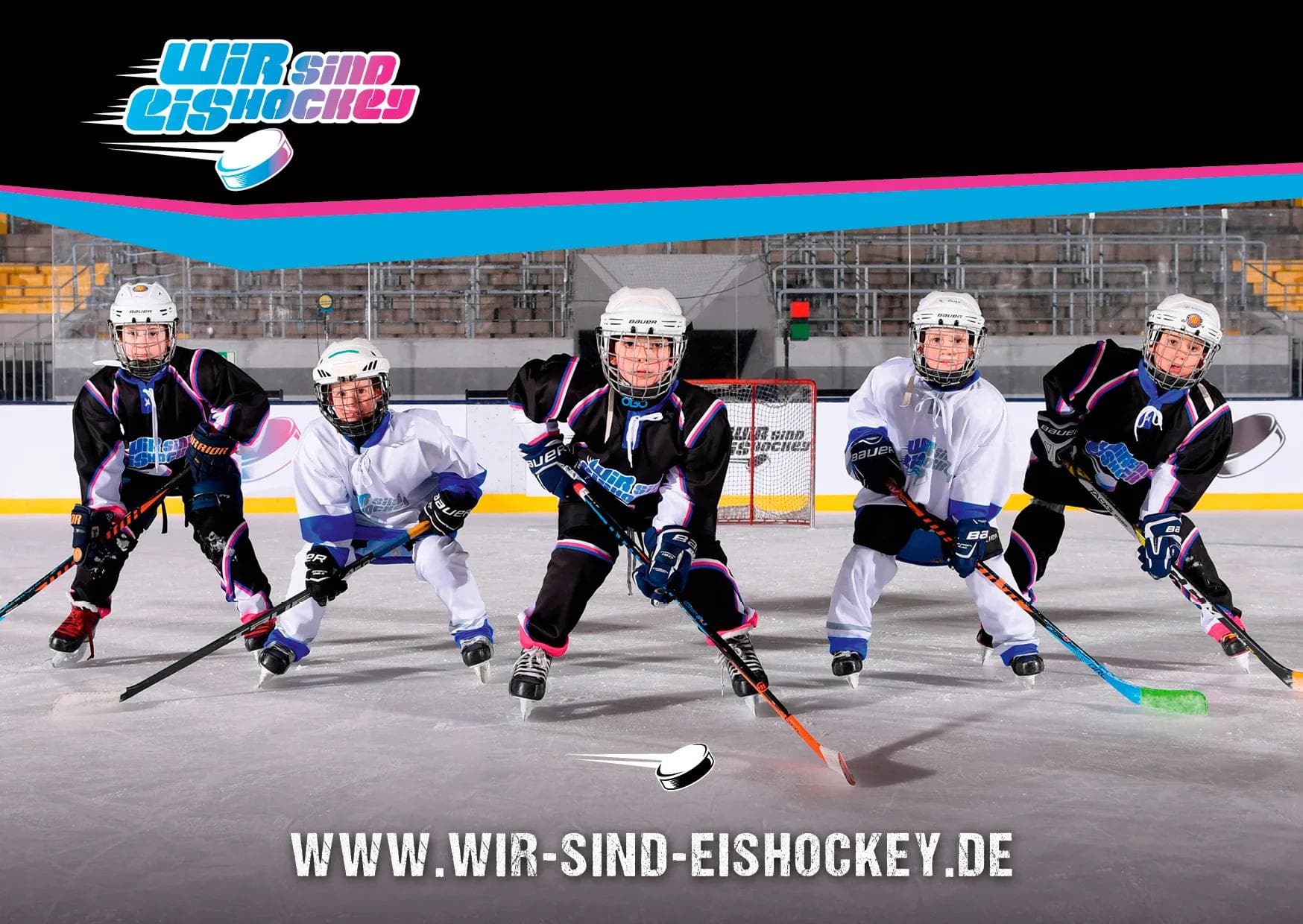 Wir sind Eishockey