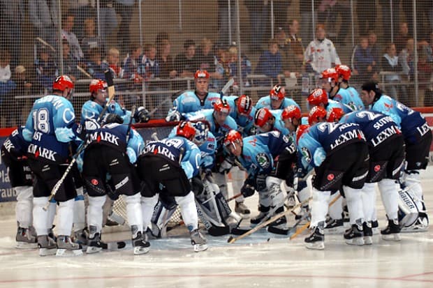 Pantherteam