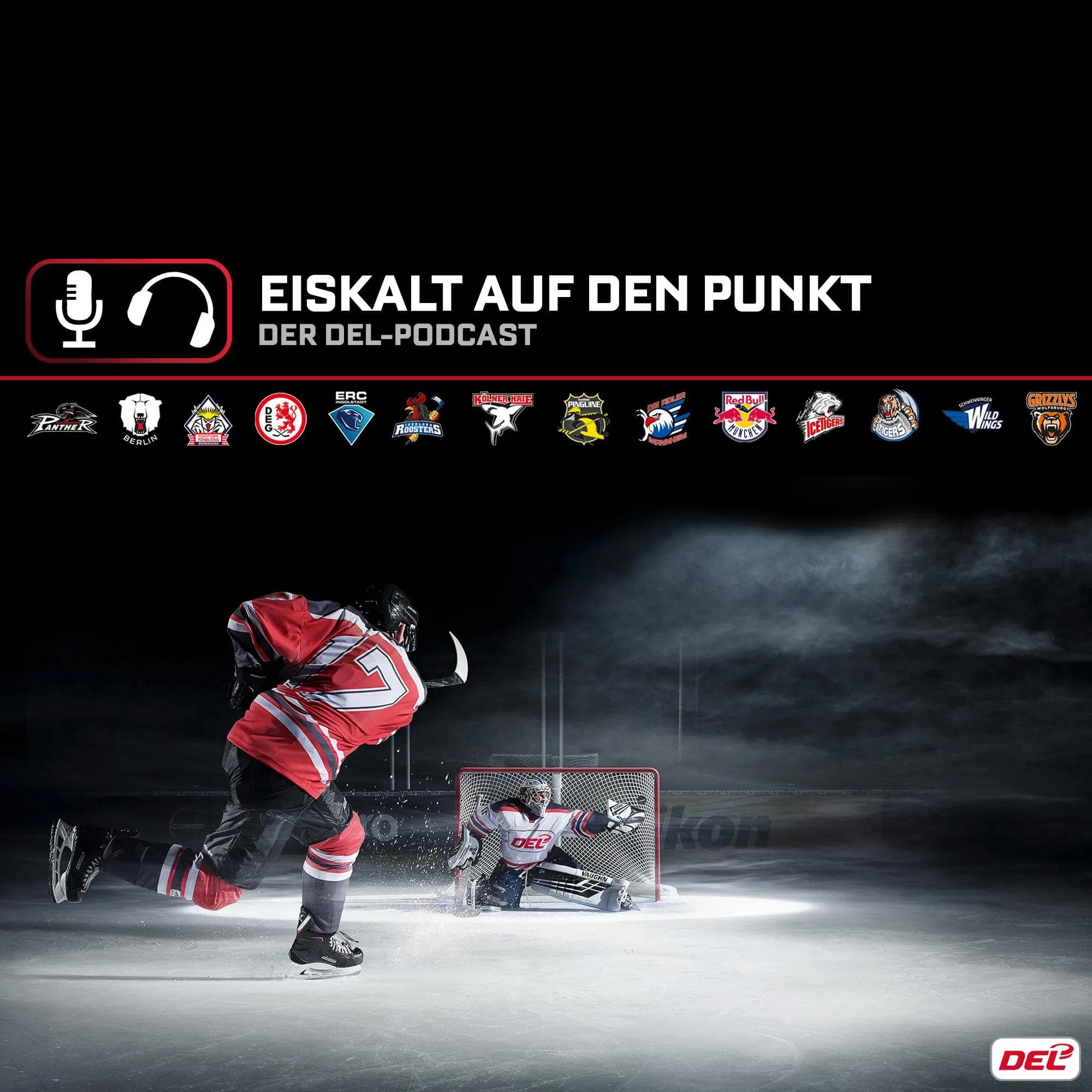 In "Eiskalt auf den Punkt" werden alle DEL-Clubs ihren Platz finden.