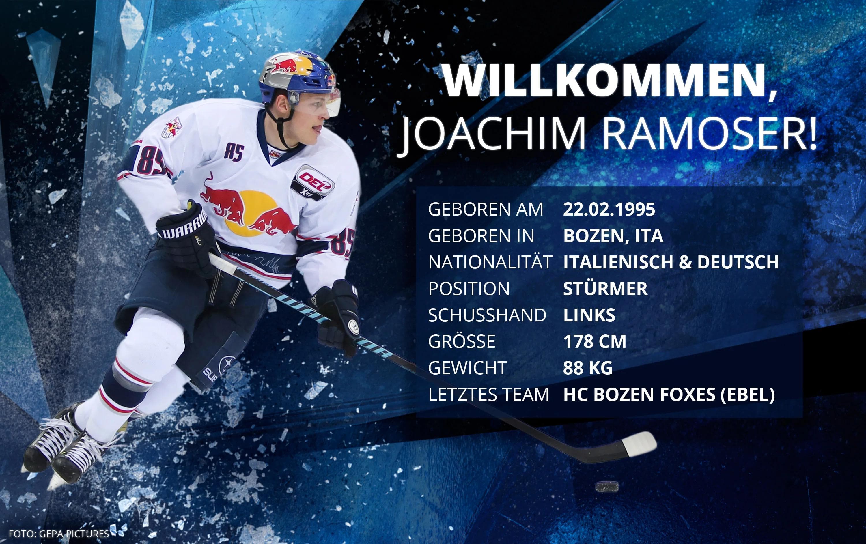 Der 22-jährige Angreifer kommt von HC Bozen Foxes. Foto: Gepa Pictures