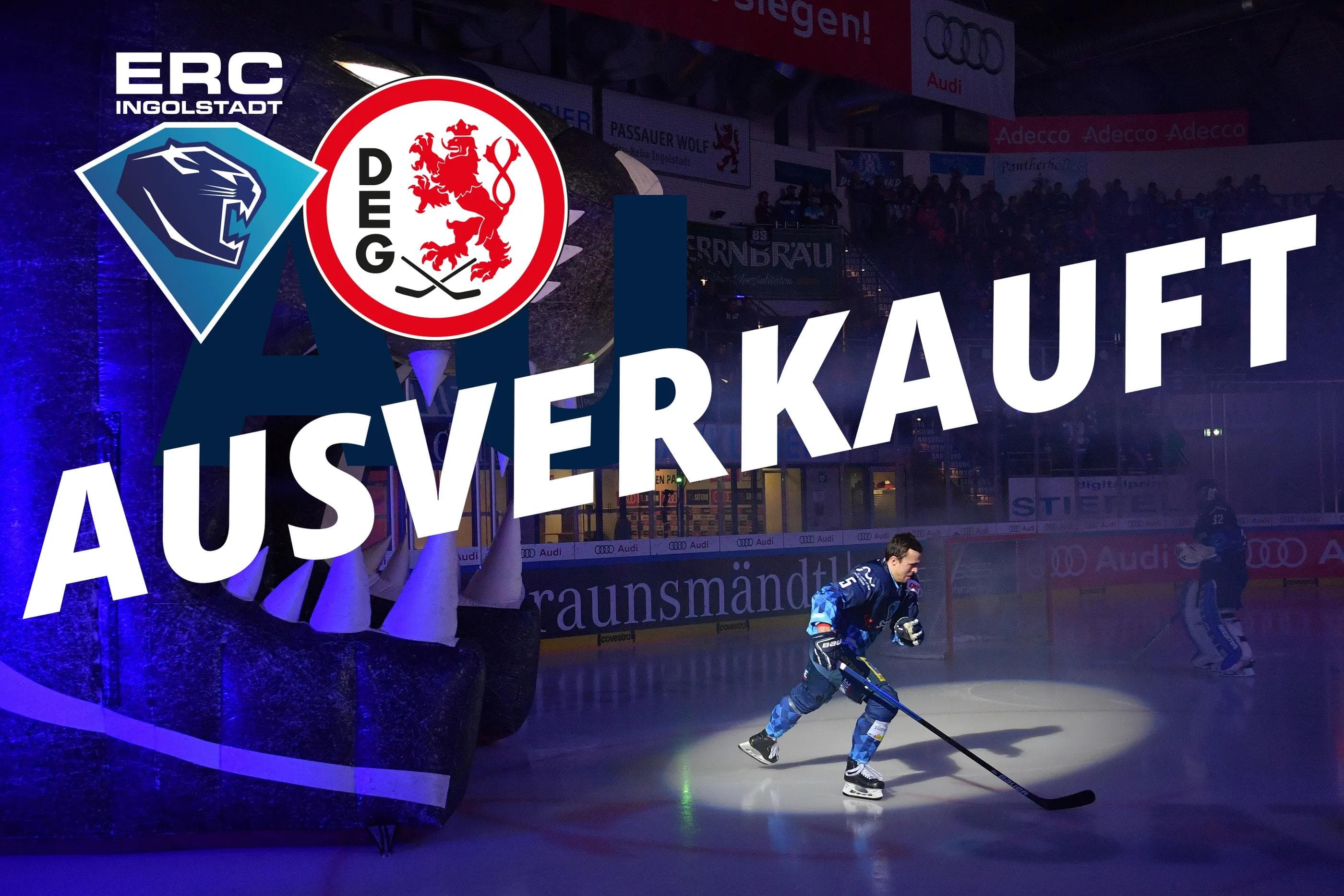 Das Spiel gegen die Düsseldorfer EG ist ausverkauft. Foto: Traub