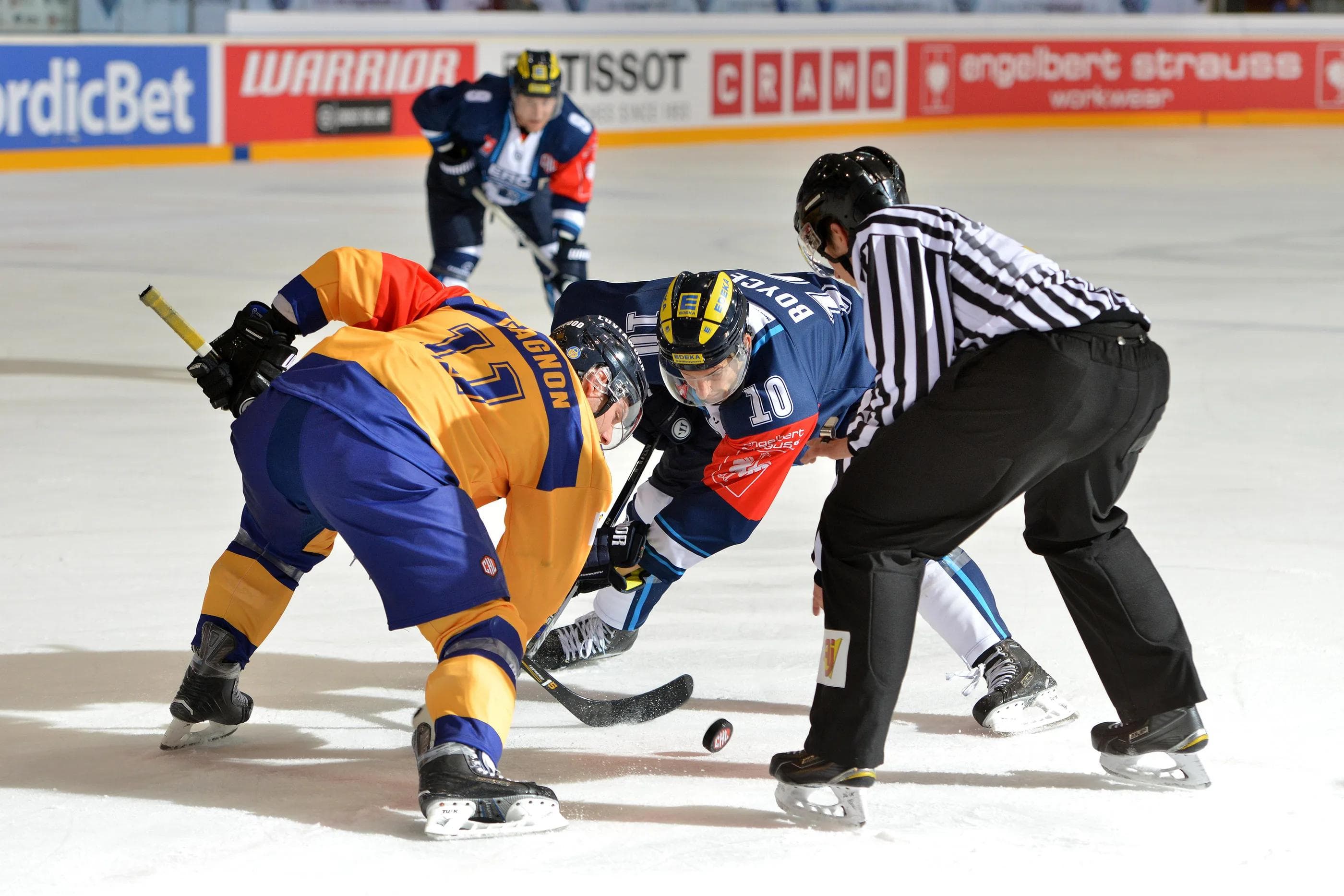 Die Panther erarbeiteten sich einen 3:1-Sieg bei Lukko Rauma. Foto (Archiv): ERC Ingolstadt via Getty Images