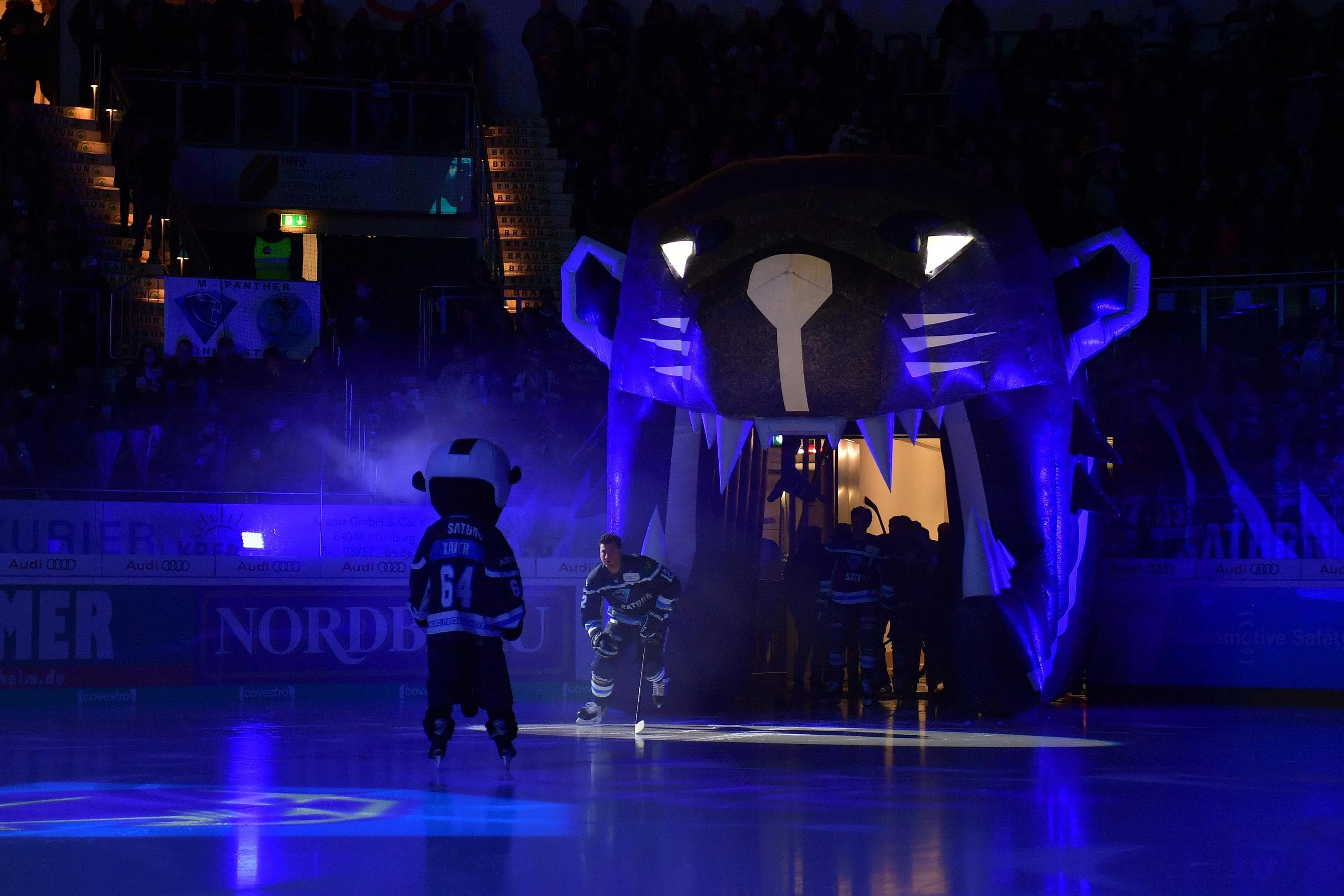 Unterstützen Sie die Panther live im Stadion.
Foto: Johannes TRAUB / ST-Foto.de