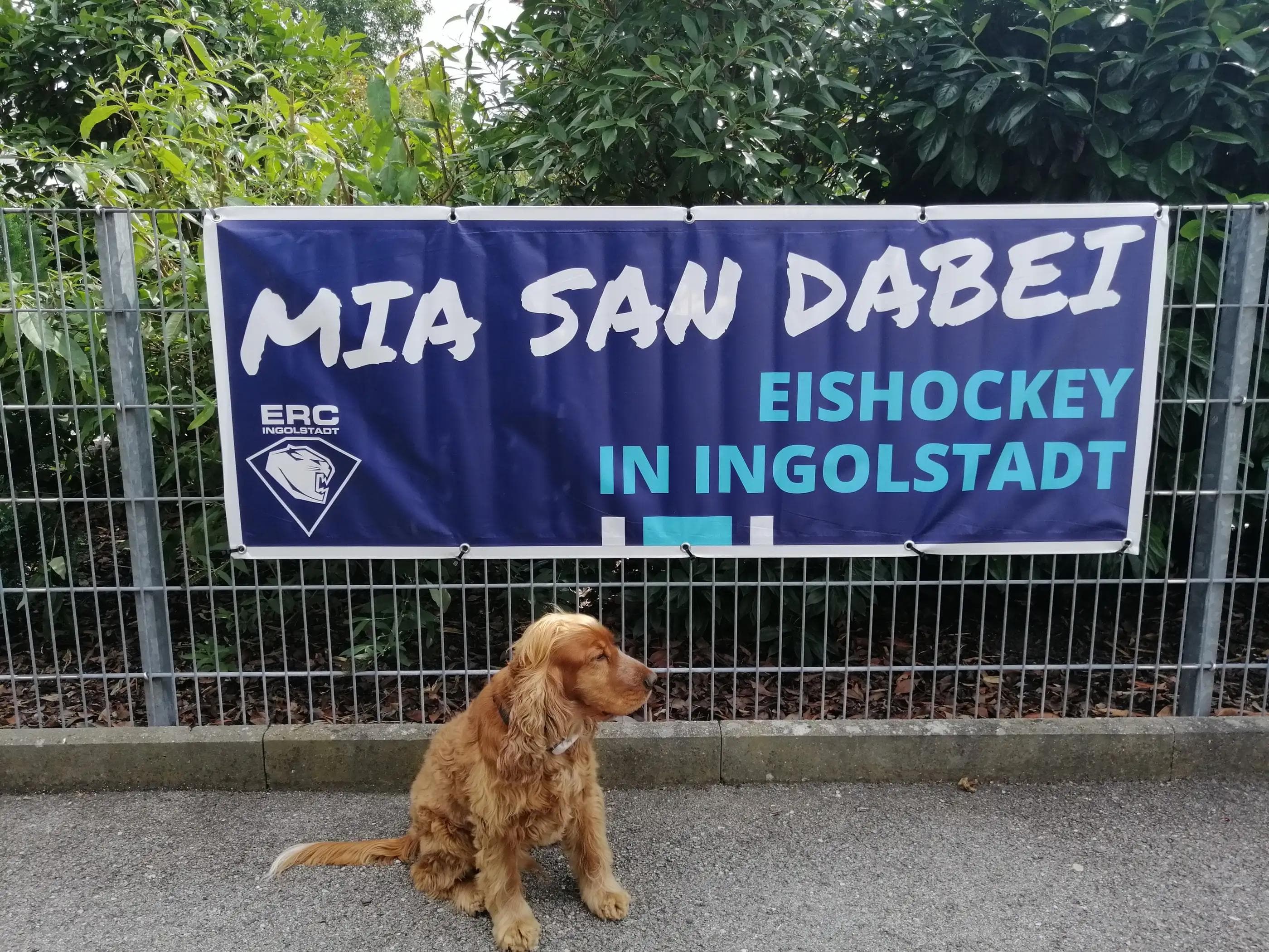 Ein ERC-Banner (wenn auch mit neuem Design) an Deinem Gartenzaun - auch zu dieser Saison machen wir das möglich.