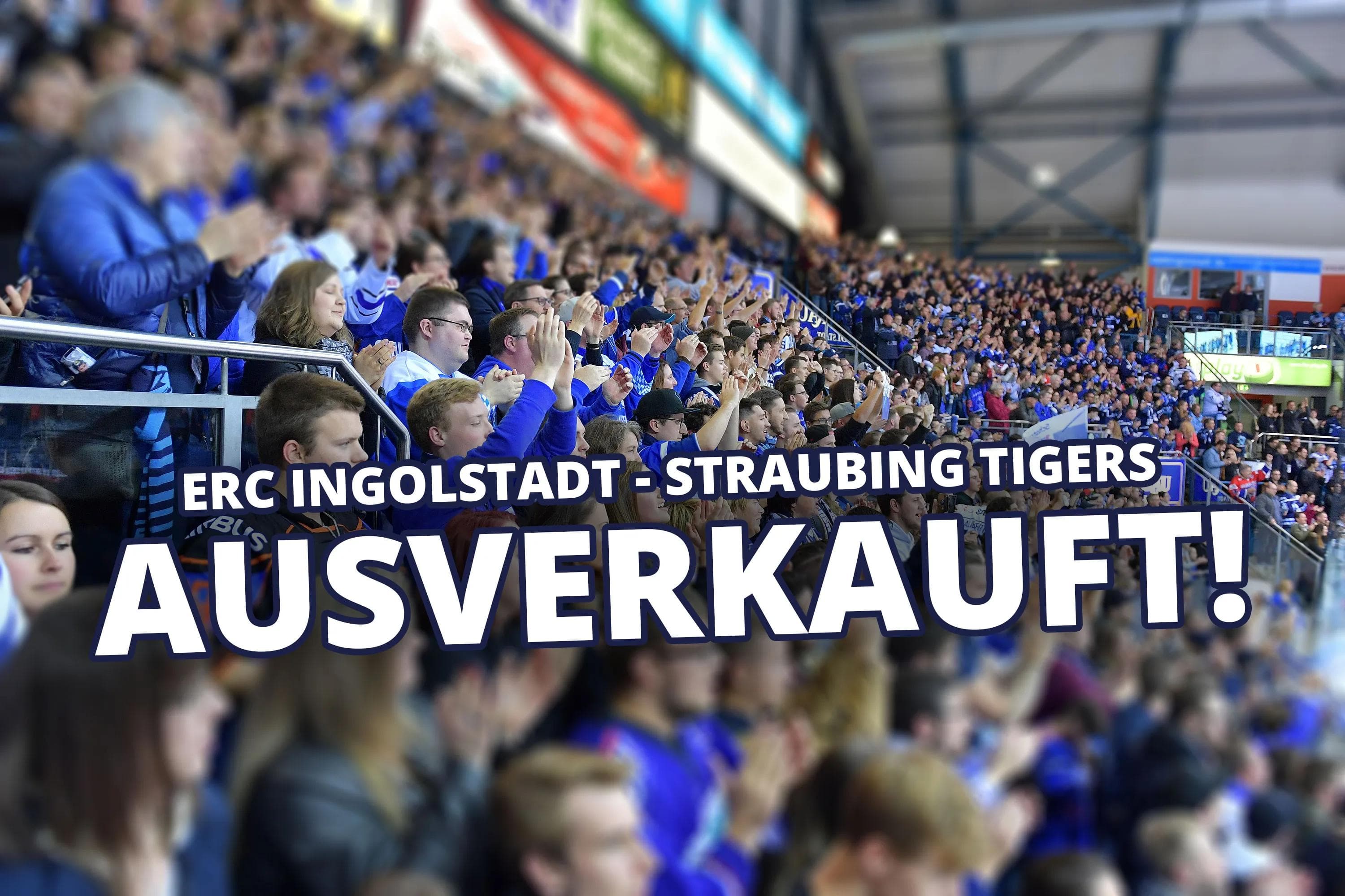Das Endspiel um Platz 6 gegen Straubing ist ausverkauft.

Foto: ST-FOTO.de