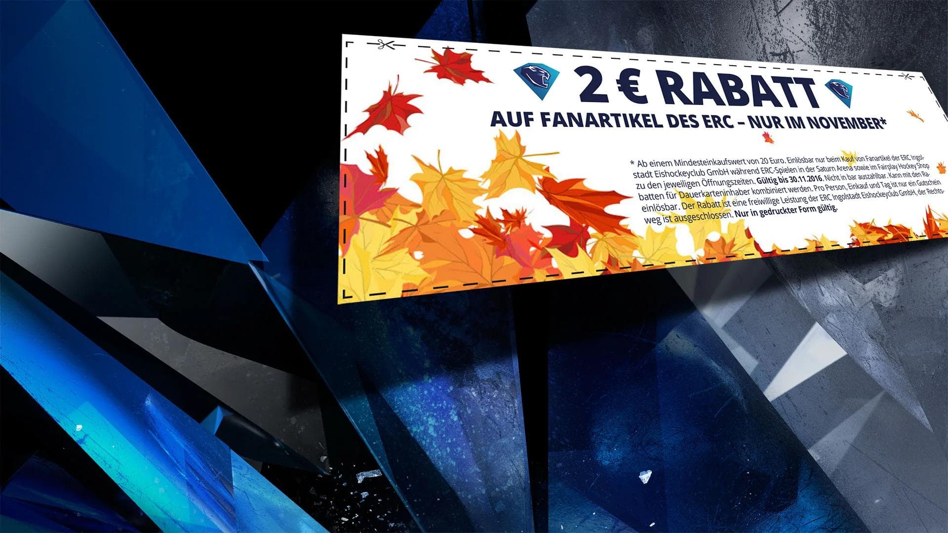 Jetzt zwei Euro beim Kauf von Fanartikeln sichern...