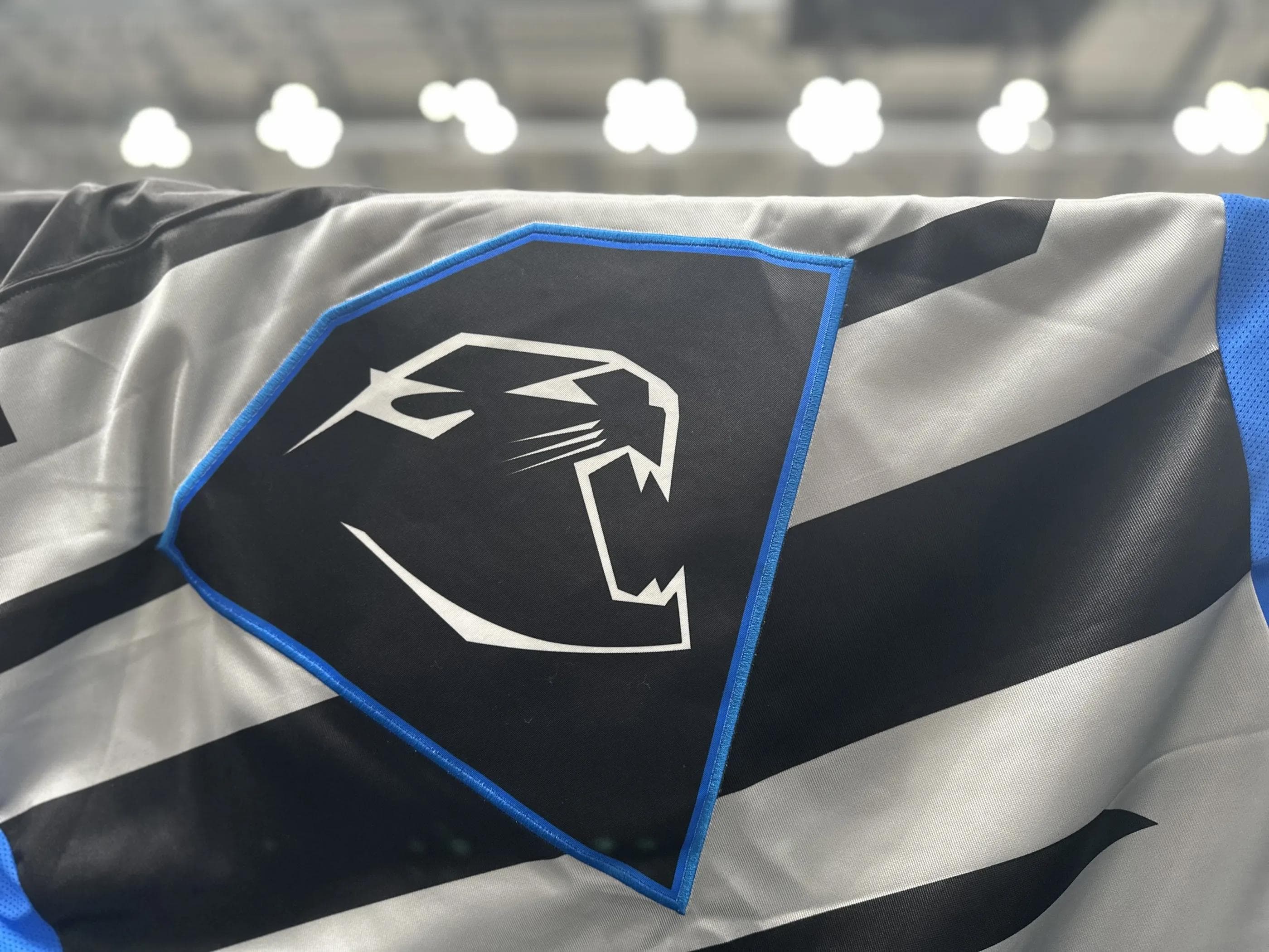 Der Pantherkopf auf dem Warmup-Trikot mit blauer Outline.
