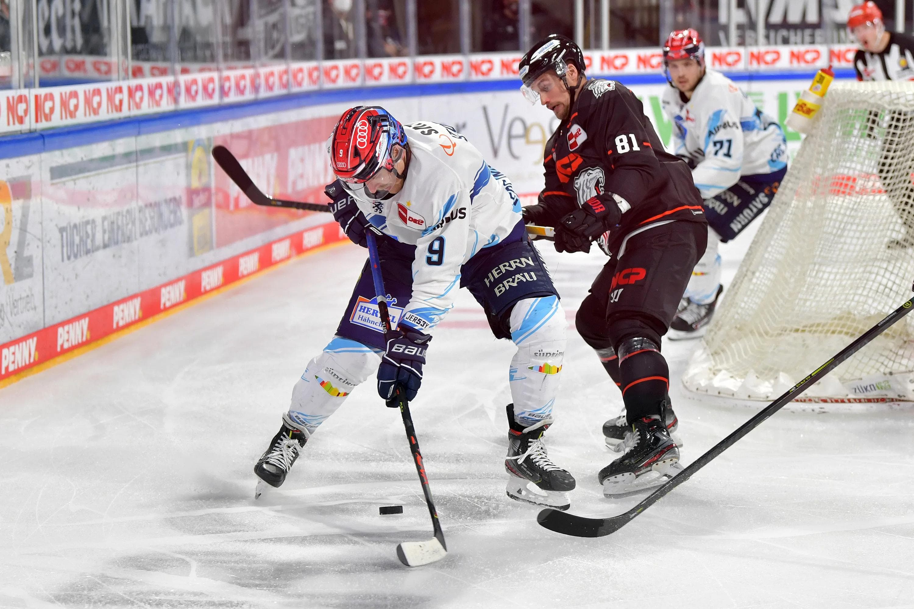 Frederik Storm und die Panther wollen auch das vierte Duell mit Nürnberg gewinnen.
Foto: Johannes TRAUB / JT-Presse.de