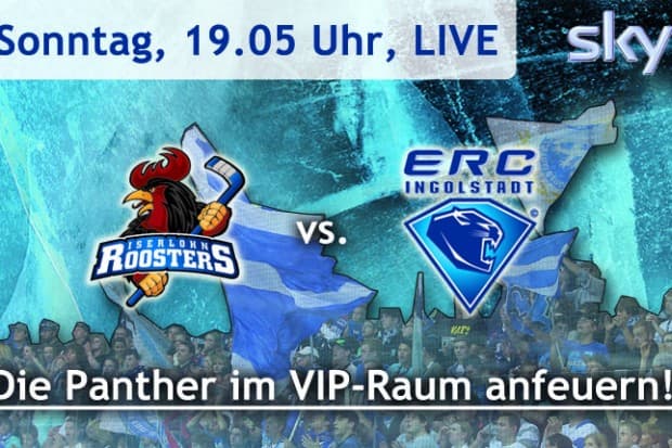 Die Panther im VIP-Raum anfeuern!