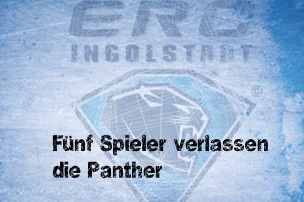 Fünf Spieler verlassen die Panther