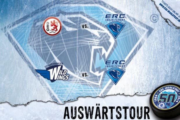 Panther auf Auswärtstour